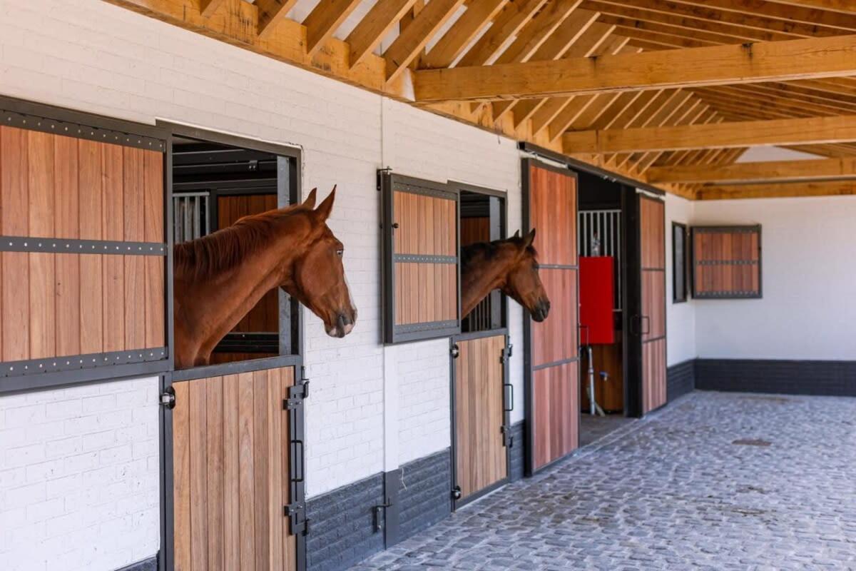 Huswell - Lady - Lovely Double Room At Ranch De Blauwe Zaal Brygge Exteriör bild